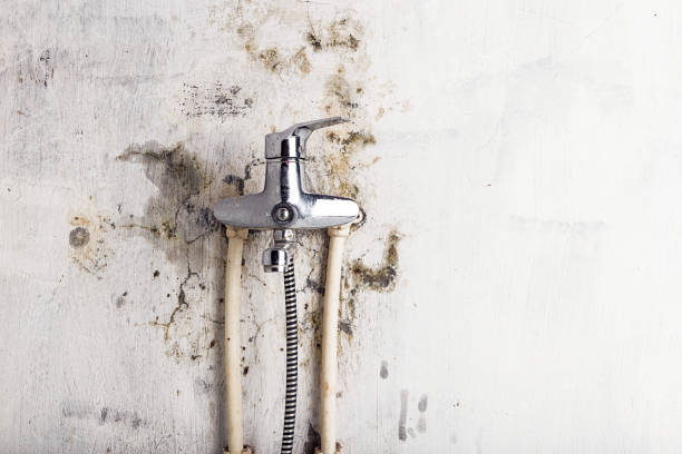 St Paris, OH Mold Remediation Company