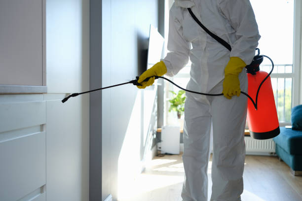 Best HVAC Mold Remediation in St Paris, OH